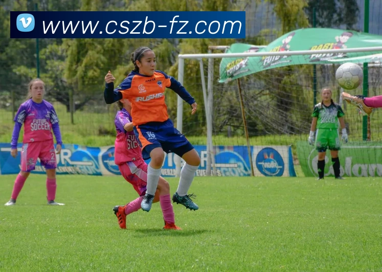 彩神争霸发展历程